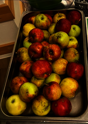 Frisch vom eigenen Garten auf den Tisch