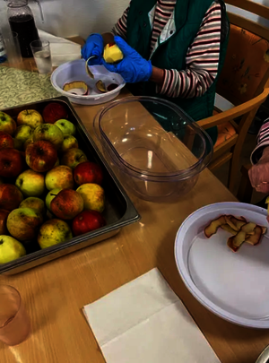 Frisch vom eigenen Garten auf den Tisch! 